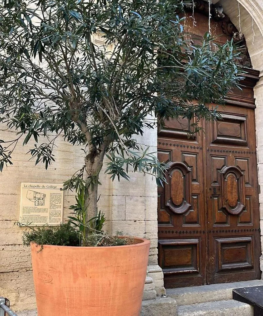 Studio Charmant Au Coeur De Carpentras Διαμέρισμα Γαλλία